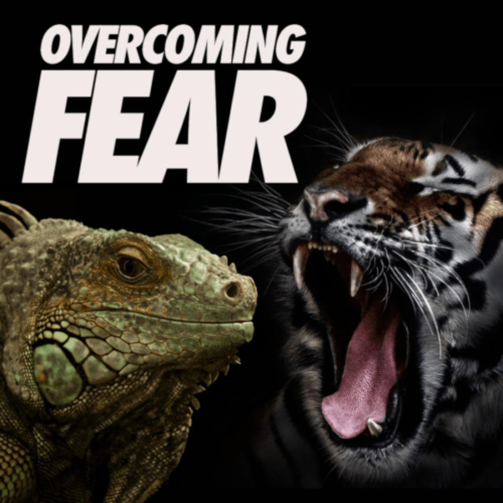 How to Overcome Fear To Become A Truly Great Learner