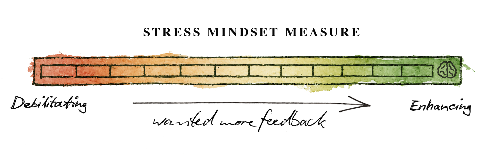 stress mindset measure open to feedback