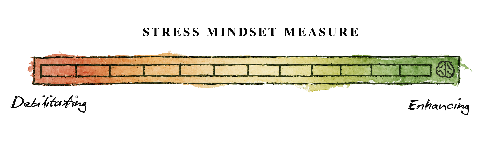 stress mindset measure