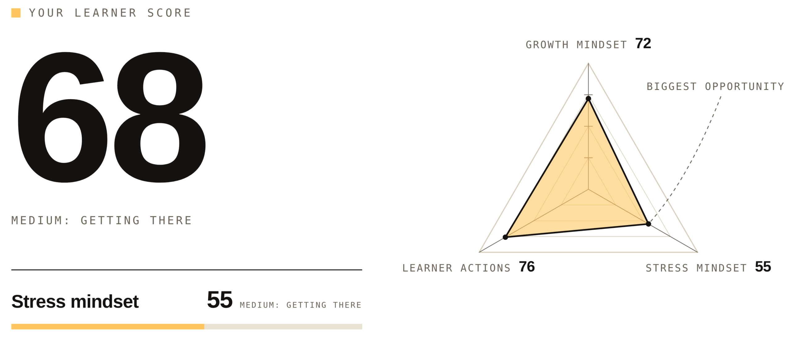 learner score demo report
